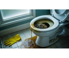 Blocked Toilet London – Fast & Affordable Plumber