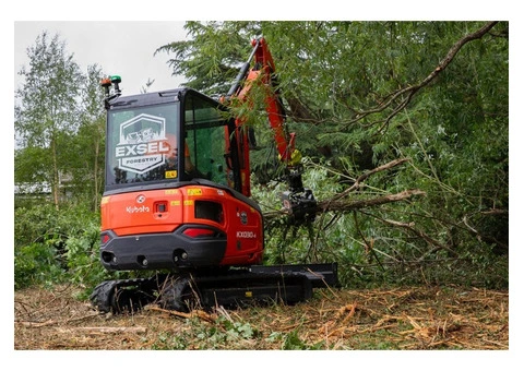 Top Rated Tree Surgeons & Tree Care Services – Bishops Waltham, UK