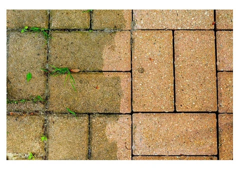 Local Gardener in London - 10/10