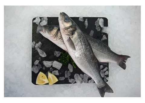 Fish and Seafood delivered to your door Nationwide! - 7/10