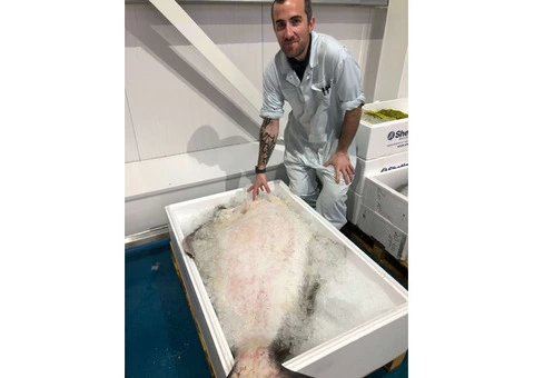 Fish and Seafood delivered to your door Nationwide! - 10/10