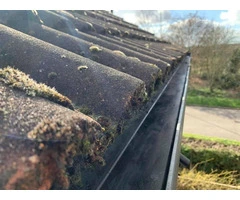 Expert gutter cleaning services for every home
