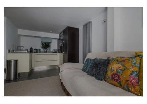 One bedroom apartment situated in London - 8/12