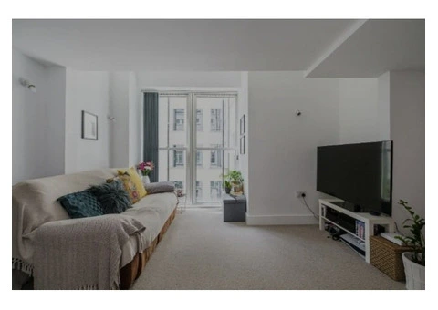 One bedroom apartment situated in London - 10/12