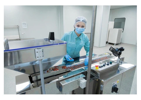 Stainless Steel Equipment – Durable Stainless Steel Food Conveyors