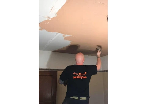 Gower Plastering - 5/10