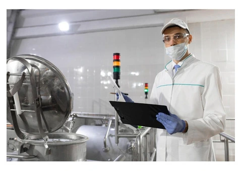 Protect Your Food with Stainless steel automotive Best Food Metal Detectors