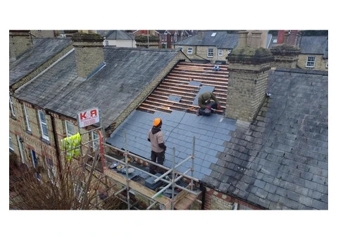 Beaumont Roofing & Renovations - 9/25