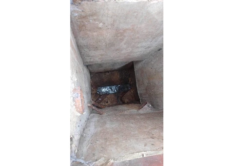 Blocked drain? Toilet backing up? Outside flooding? - 7/16