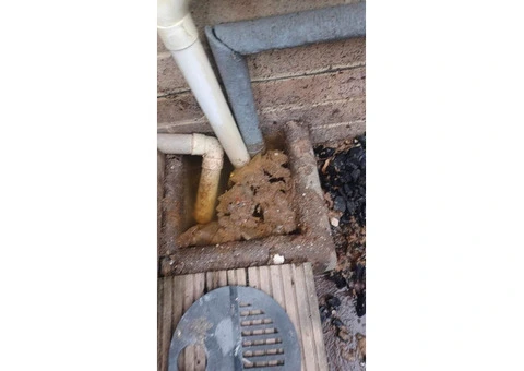 Blocked drain? Toilet backing up? Outside flooding? - 9/16