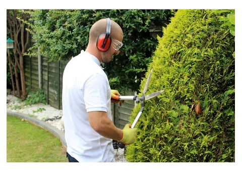 Patio Cleaning in London - 2/10