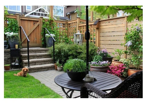 Patio Cleaning in London - 4/10