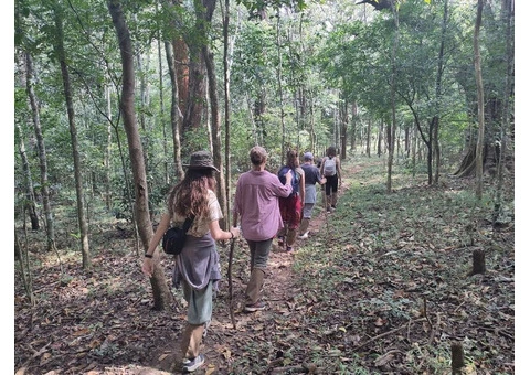 Luxury Golden Triangle Holiday Tours in India - 6/8