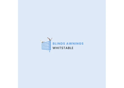 Affordable Pleated Window Blinds – Book Now