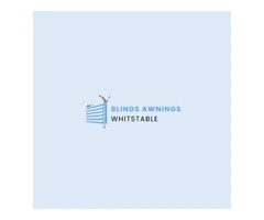 Affordable Pleated Window Blinds – Book Now