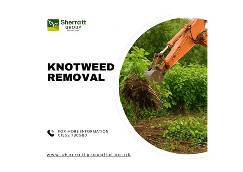 Professional Knotweed Removal – Fast & Effective Solutions