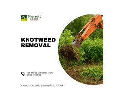 Professional Knotweed Removal – Fast & Effective Solutions