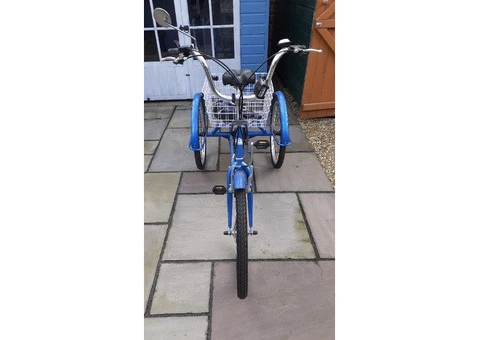 Tricycle for sale - 1/3