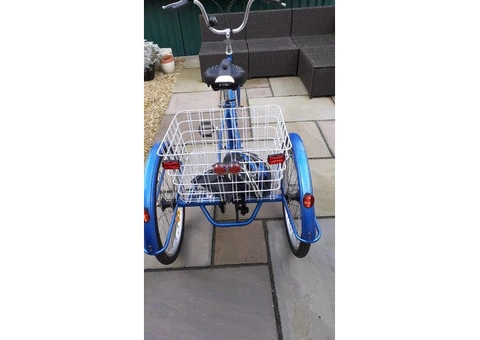 Tricycle for sale - 3/3