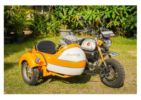 Sidecar Kit for Honda Monkey 125 by Scooter99 Ready to Ride - 1/9
