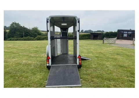 2020 Ifor Williams HBX 403 Silver-  Single Horse Trailer - 5/6