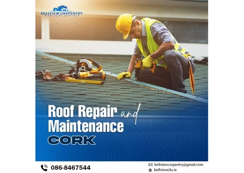 Hire Our Experts For The Best Roof Repair And Maintenance In Cork