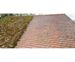 Roof moss removal companies near me