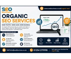 Organic SEO Services for Sustainable Online Growth