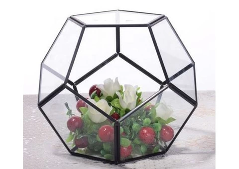 Buy Black Terrarium Ball At A Very Reasonable Price - 2/2