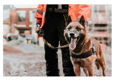 Professional Security Services Available in Bristol