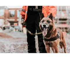 Professional Security Services Available in Bristol