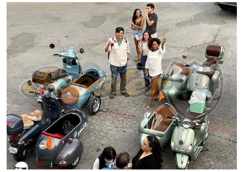 Vespa Struzzo with Full StainlessSteel Sidecar Restored by Scooter99 - 11/11