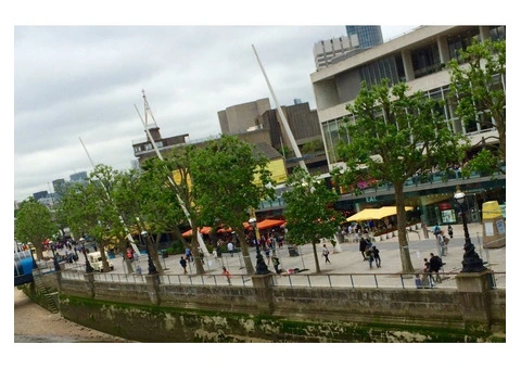 Tree Risk Assessment in London - 9/13