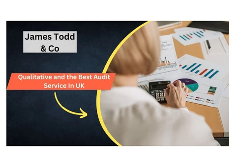 Qualitative and the Best Audit Service In UK