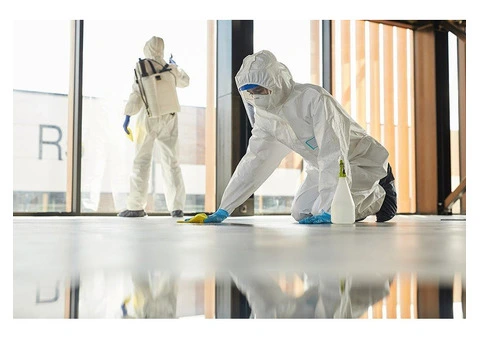 Hazard Clean Team - 6/6