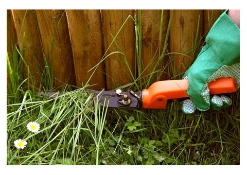 Fast Landscape Gardening Services - 2/12