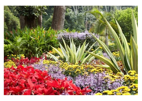 Fast Landscape Gardening Services - 6/12