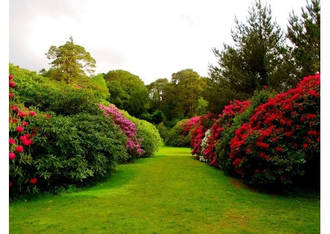 Fast Landscape Gardening Services - 12/12