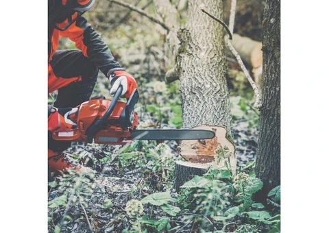 Tree Cutting Services Camberley | Professional, Safe & Affordable
