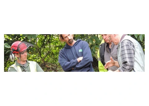 Tree Asset Mapping Using GIS for Local Authorities - 7/13