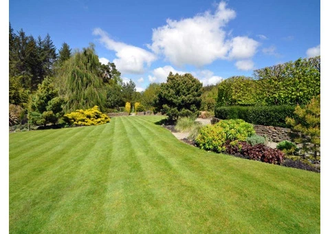 Lawn Maintenance Hampshire | Southern Grounds Services, Dorking