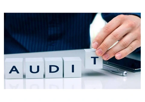 Cambridge Businesses and the Growing Demand for Audit Services