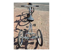 Mission Piggyback special needs trailer bike