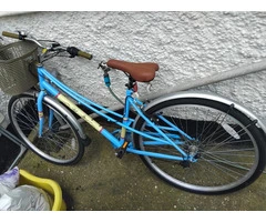 Lady's blue bike.