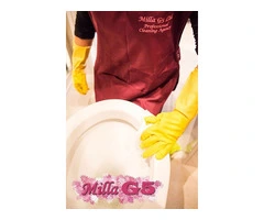 Professional Domestic Cleaning Solutions