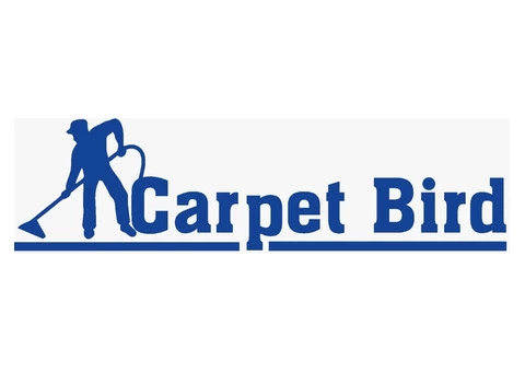 Carpet Bird