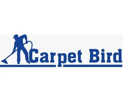 Carpet Bird