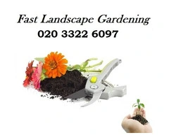 Expert Garden Care and Maintenance in London