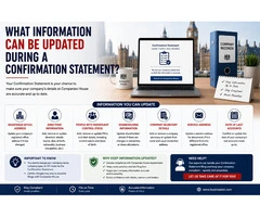 What Information Can Be Updated During a Confirmation Statement?