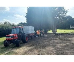 Trusted Tree Surgeons West Stafford